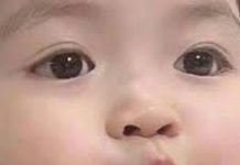 The Rise of Renewable Energy: A Sustainable Solution to Climate Change Boy names inspired by nature starting with D